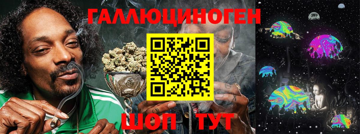Галлюциногенные грибы Psilocybe Вичуга